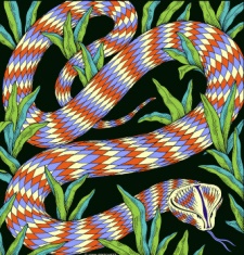 Год Ужа 2008