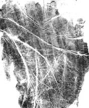 Опубликованное фото