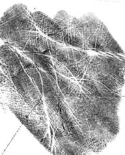 Опубликованное фото