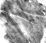 Опубликованное фото