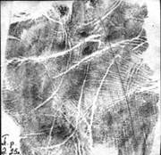 Опубликованное фото