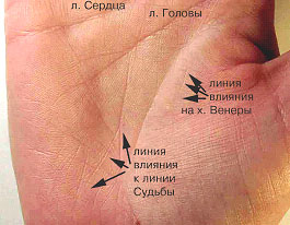 линия жизни по руке детей незабываемое