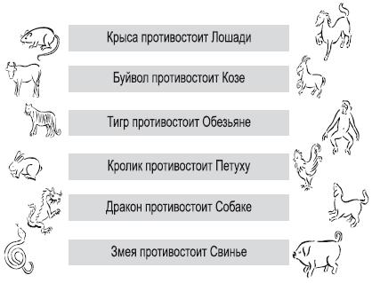 животные года