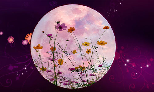 Лунный календарь посадки цветов в 2021 году