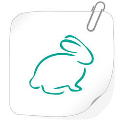 гороскоп 2021 стрелец - кролик