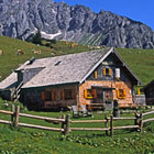 ДОМ, вигвам