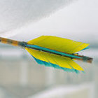 Перевернутое: СТРЕЛА, копье