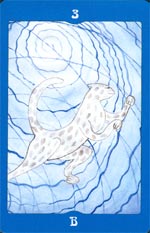 Барс, готовящийся к прыжку