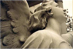 Ангел Мягкости