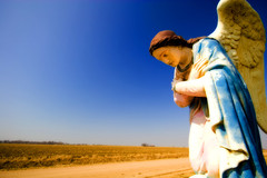 Ангел Доверия