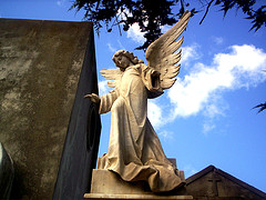 Ангел Риска