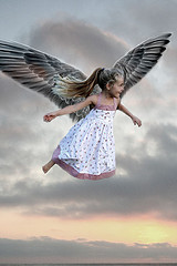 Ангел Братства