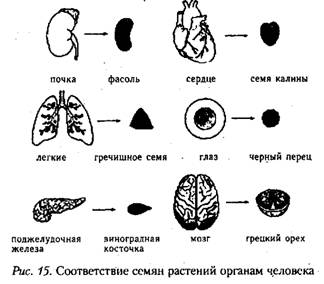 Лечебный массаж су-джок