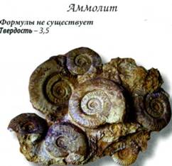 аммолит
