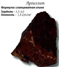 аргиллит