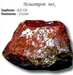 гелиотроп