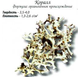 коралл