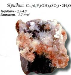 кридит