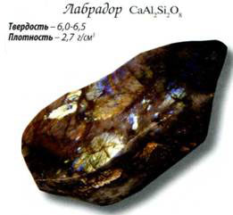 лабрадор