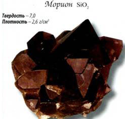 морион