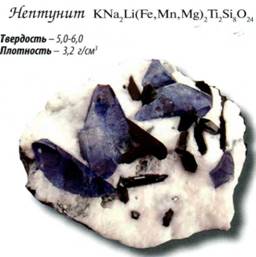 нептунит
