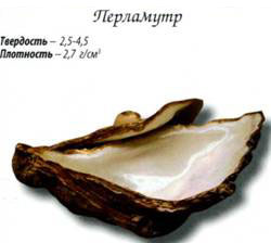 перламутр