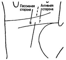 линии судьбы