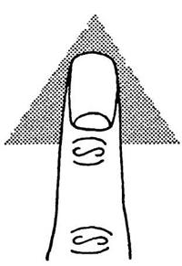 палец юпитер