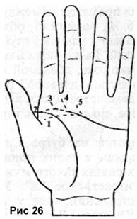 Линии Левой Руки Расшифровка Фото