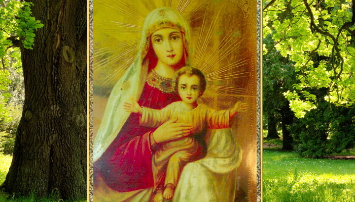 Икона Божией Матери «Объятия Отча» (Уссурийская)