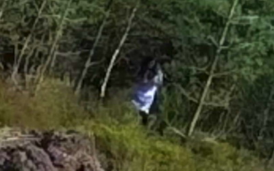 Дрон заснял фигуру женщины в белом в лесу призраков