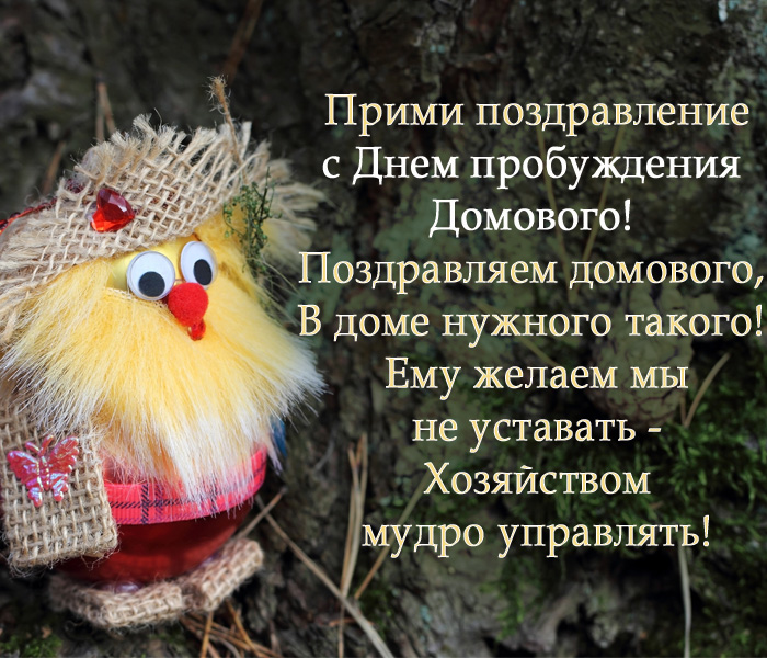 с днем пробуждение домового