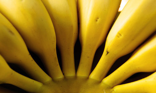 Приснились бананы: трактовка сновидения в различных сонниках.