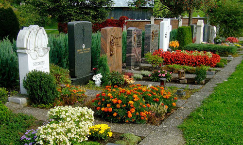 Во сне нести цветы на кладбище на Во сне нести цветы на кладбище на