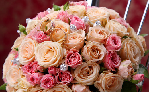 Сонник розовые розы – к чему снится розовые розы во сне?