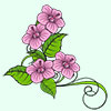 Арабский пасьянс – цветок