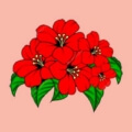 Символ из правдивого пасьянса - цветы