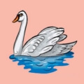 Символ гадания на правдивом пасьянсе - лебедь