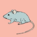 Символ из правдивого пасьянса - мышь