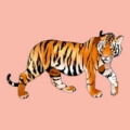 Гадание правдивый пасьянс - тигр