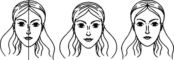 Симметрия лица рисунок