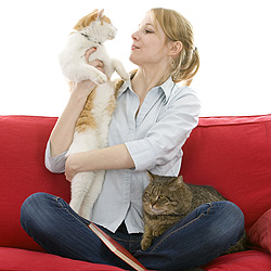 Кошки лечат и умеют выслушать, считают их владельцы